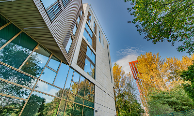 Carlton Hill 1 - Card Gallery.jpg