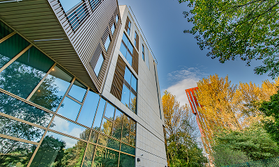 Carlton Hill 1 - Card Gallery.jpg